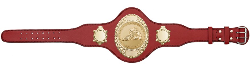 JIU JITSU CHAMPIONSHIP BELT-PLT286/G/JJG-4 COLOURS JIU JITSU CHAMPIONSHIP BELT-PLT286/G/JJG-4 COLOURS